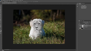 Adobe Photoshop